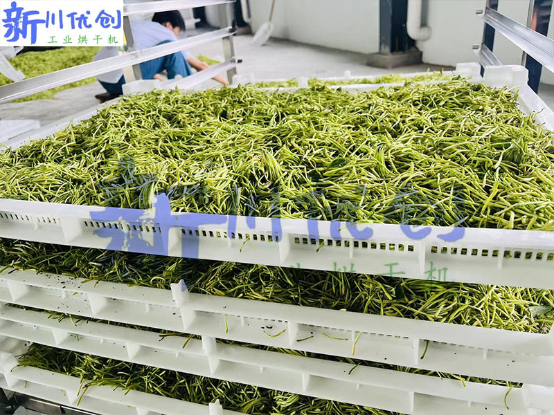 649657306dbfe.jpg 金銀花3.jpg