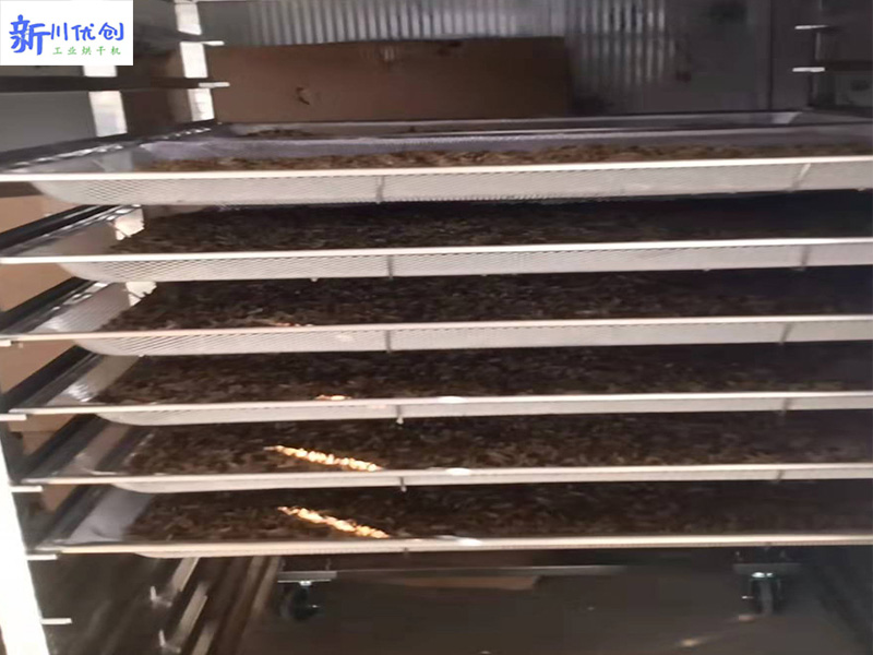 64a509ab38451.jpg 水蛭1.jpg