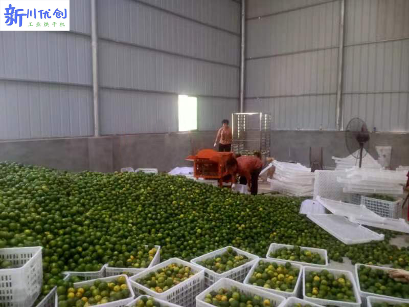 64b4aa5b86b40.jpg 枳殼烘干1.jpg