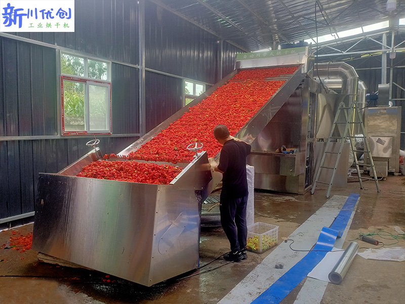 四川甘洛客戶訂購我廠網(wǎng)帶式烘干機用于辣椒烘干
