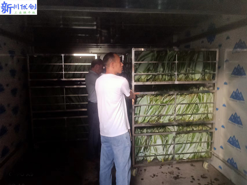 6507c1122ee9a.jpg 粽葉烘干1.jpg