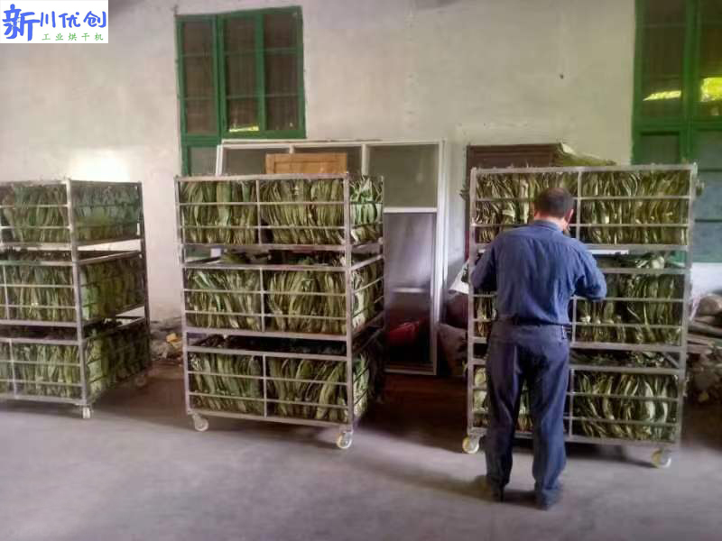 6507c11edeea2.jpg 粽葉烘干機(jī).jpg