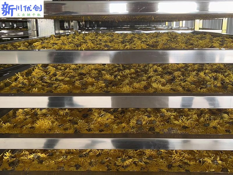 653b270cc0d83.jpg 金絲皇菊烘干房.jpg