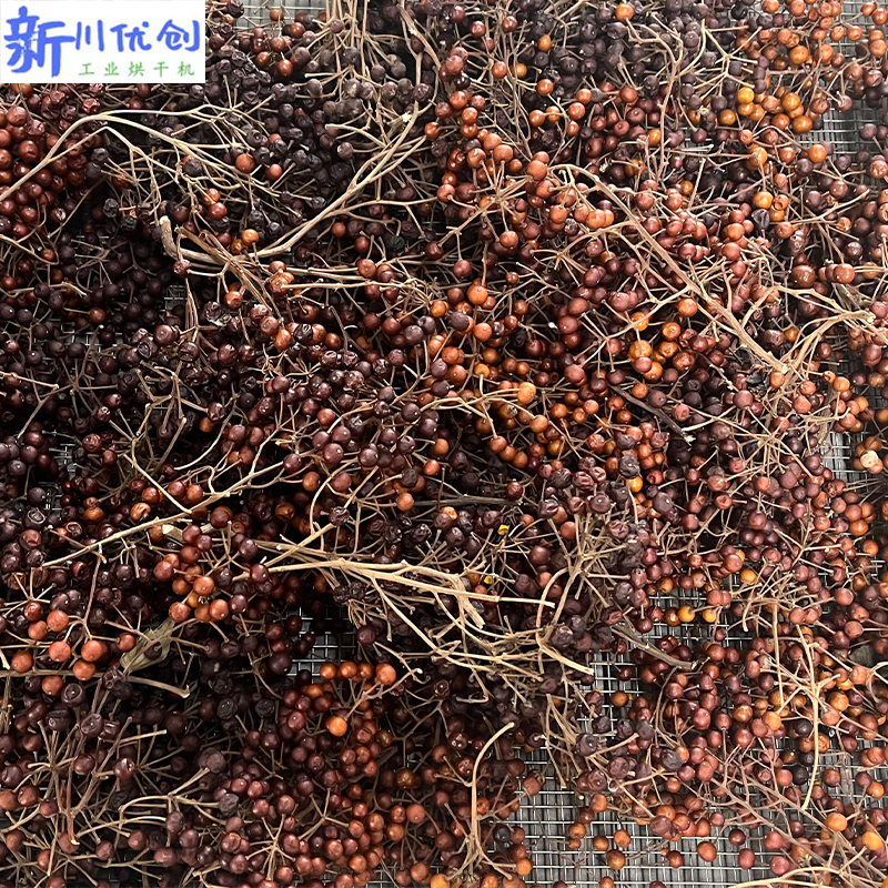 山桐子-烘干工藝