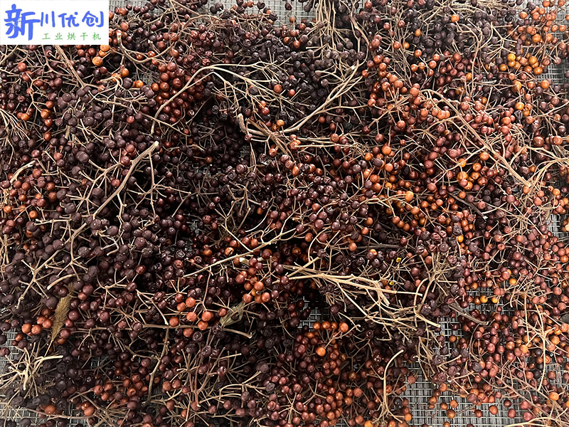 654c582214c28.jpg 山桐子烘干5.jpg