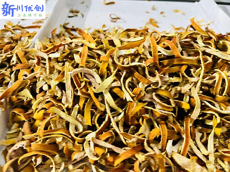 陳皮烘干機1.jpg