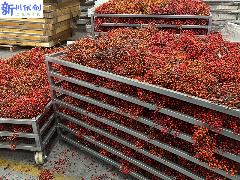 657ab6b4542f7.jpg 山桐子烘干7.jpg