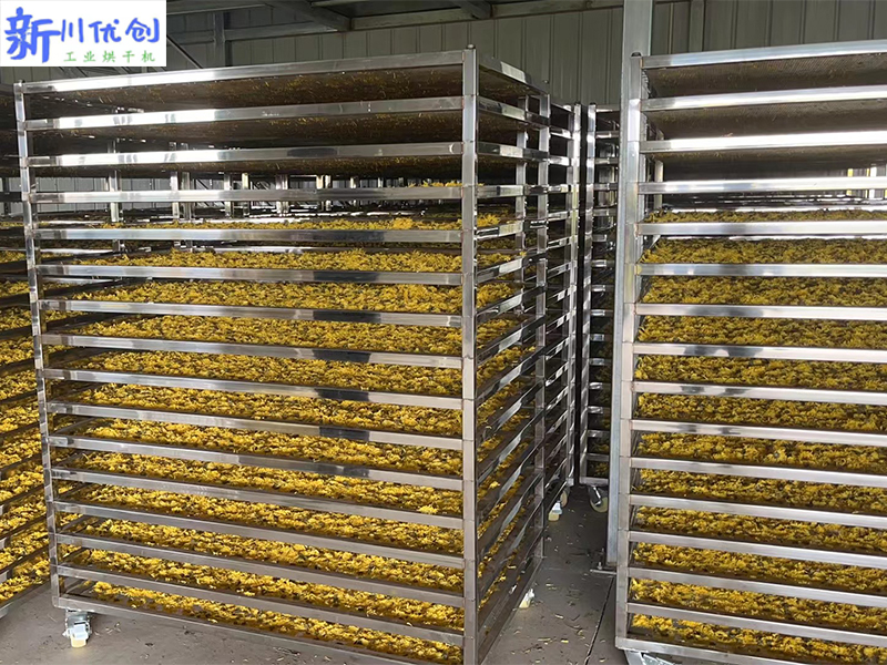 65bc5ee11a4c0.jpg 金絲皇菊烘干房1.jpg