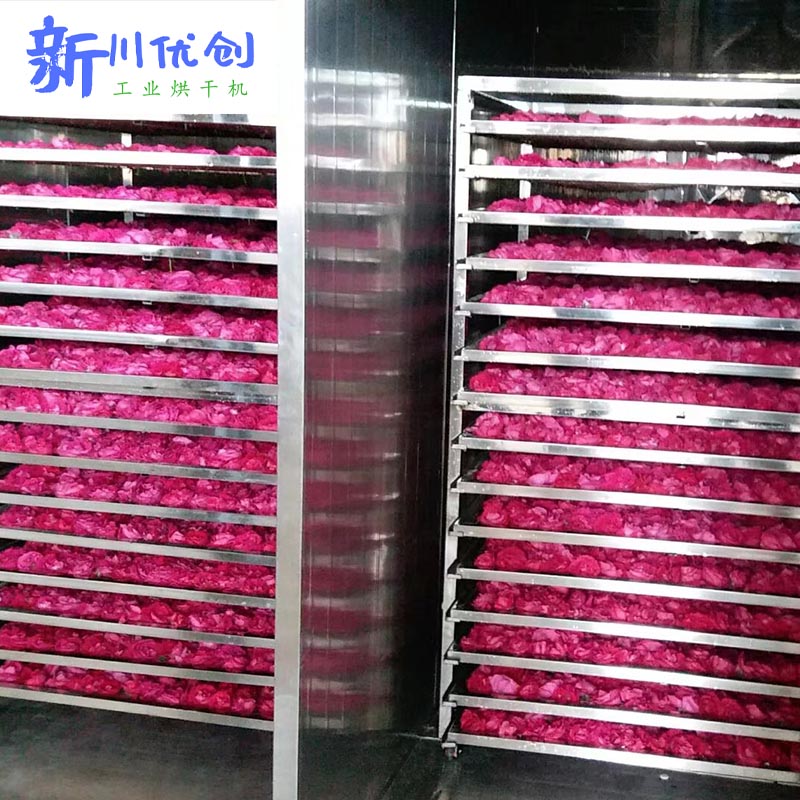 65bc5f019c22a.jpg 玫瑰4.jpg