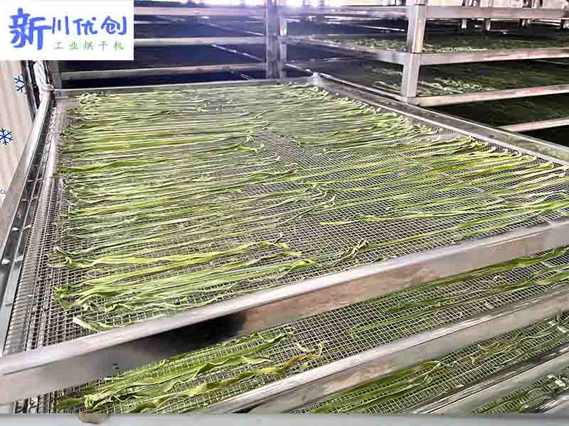 666a63409b44e.jpg 貢菜1.jpg